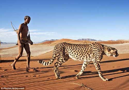 非洲男子与猎豹成亲密伙伴 每天相伴散步打猎