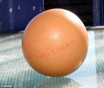 英厨师发现完美圆鸡蛋 出现概率十亿分之一(图)