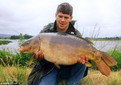 英最大传奇淡水鱼自然死亡：重约31公斤(图)